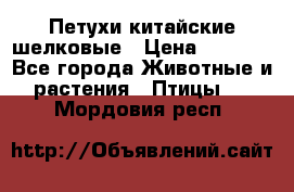 Петухи китайские шелковые › Цена ­ 1 000 - Все города Животные и растения » Птицы   . Мордовия респ.